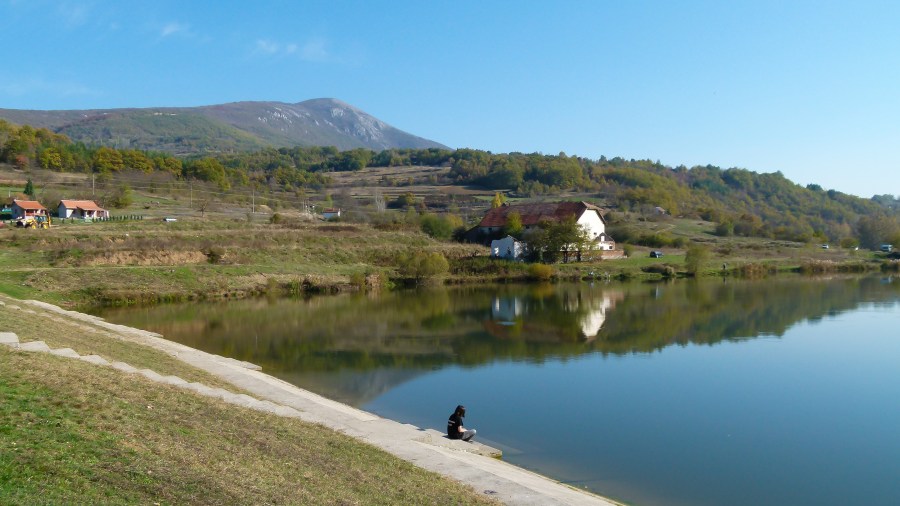 Šta je književna&nbsp;ekologija?