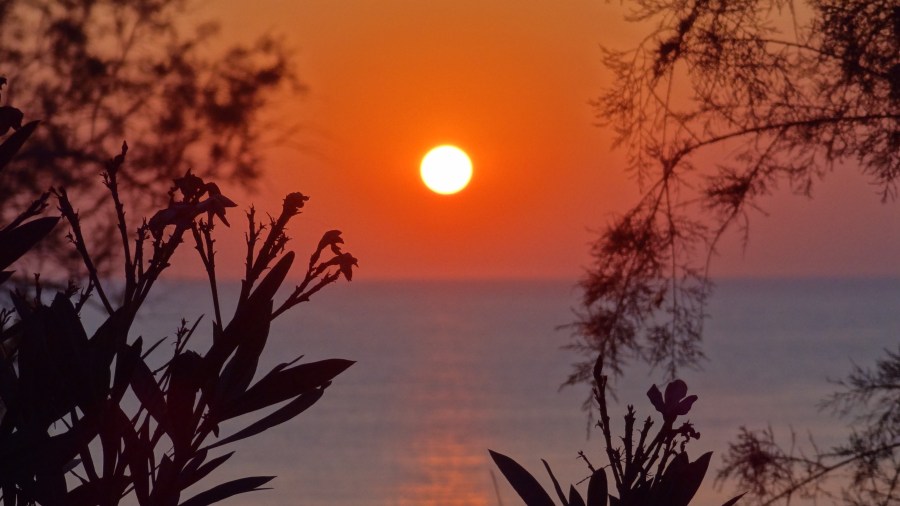 Putopisna potraga za retkim vrstama – „Još malo pa nestalo: autostoperski vodič kroz svet koji iščezava” Daglasa Adamsa i Marka&nbsp;Karvardina