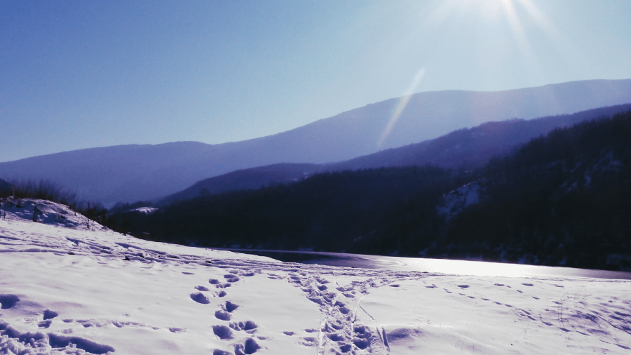 Očima simbola klimatskih promena – „Memoari belih medveda” Joko&nbsp;Tavade