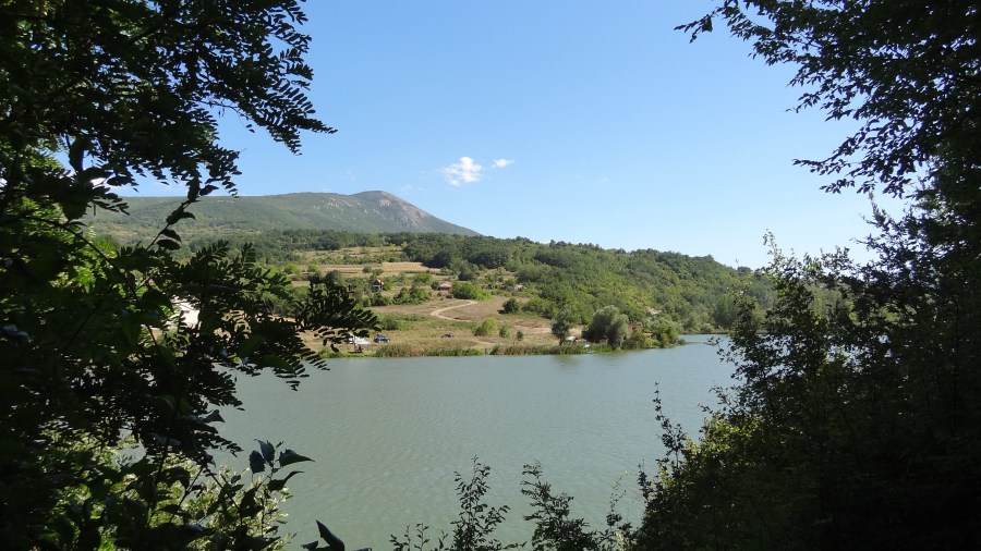 Otpad kao materijalni trag čoveka u antropocenu – „Čovek sa očima insekta” Vua&nbsp;Mingjia